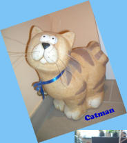 Catman