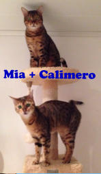 Mia + Calimero